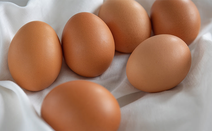 安心安全の健康卵